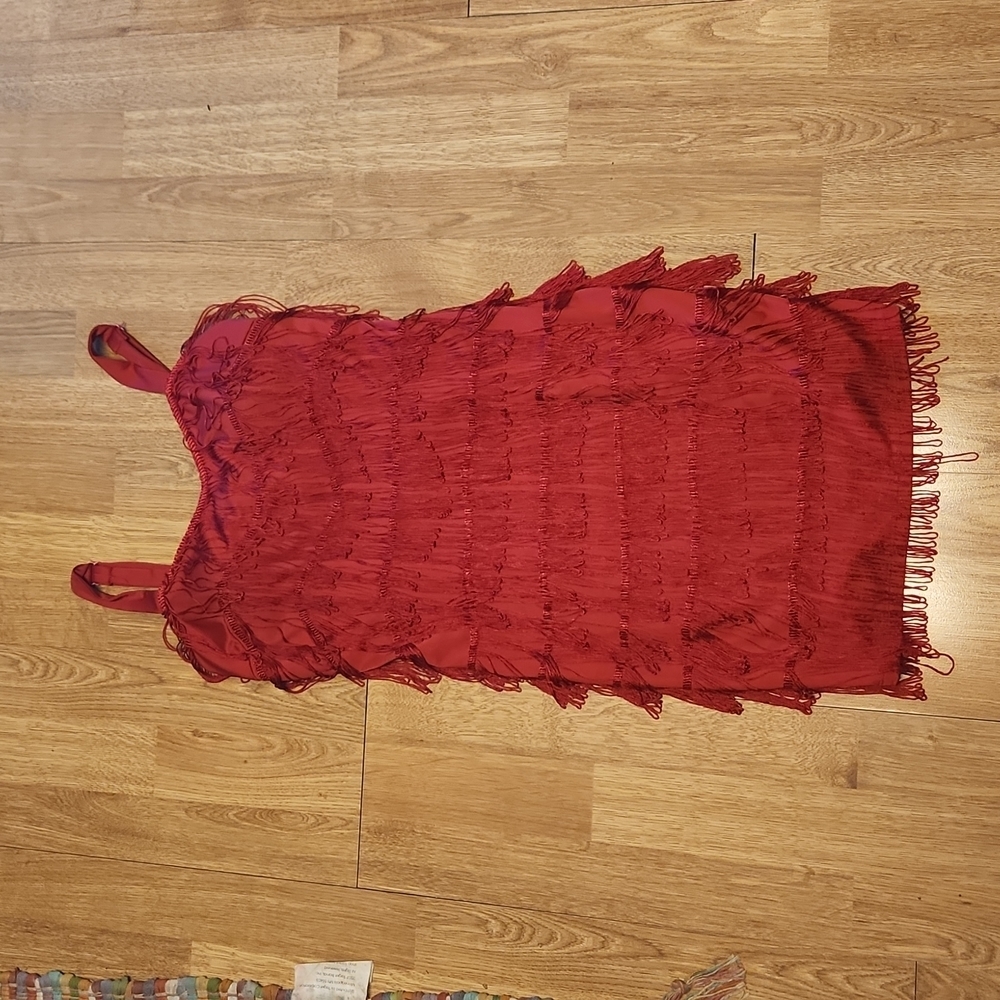 Windsor red fringed flapper dress sz small